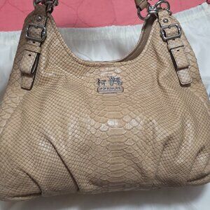 Maddison Embossed Maggie Python Coach bag